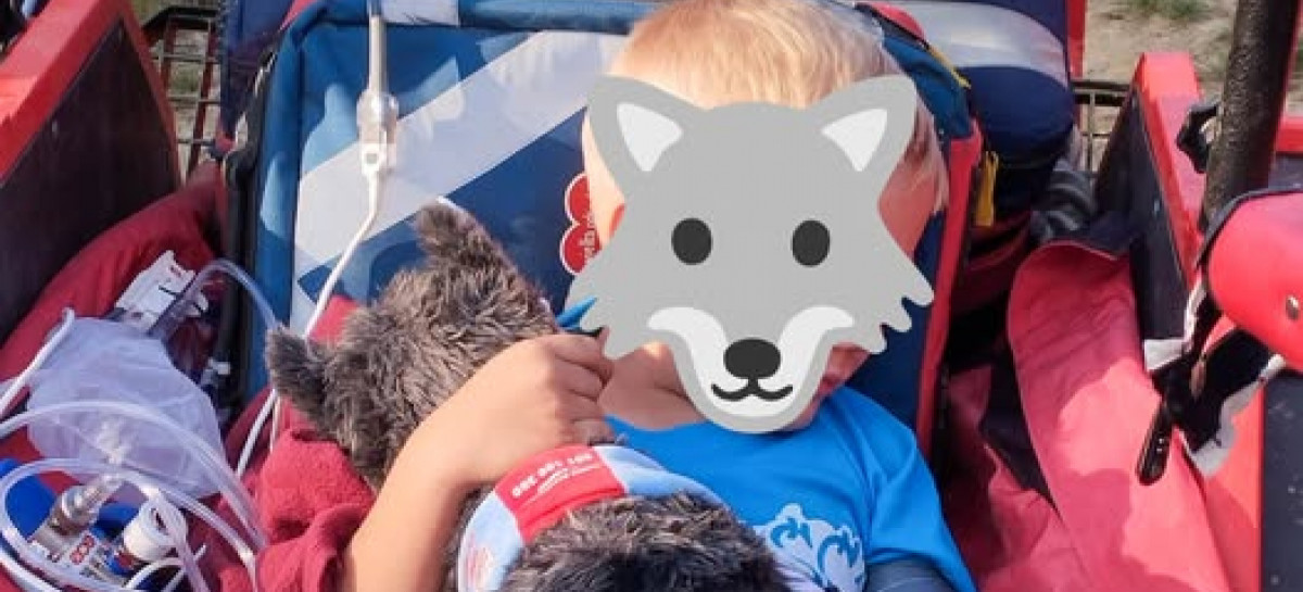 GOPR BIESZCZADY. Intensywny sierpniowy weekend za ratownikami. Najmłodszy poszkodowany znalazł wsparcie w pluszowym misiu
