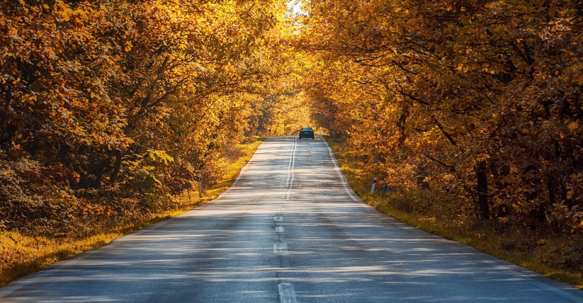 Jesienne warunki na drogach. Policja apeluje o ostrożność