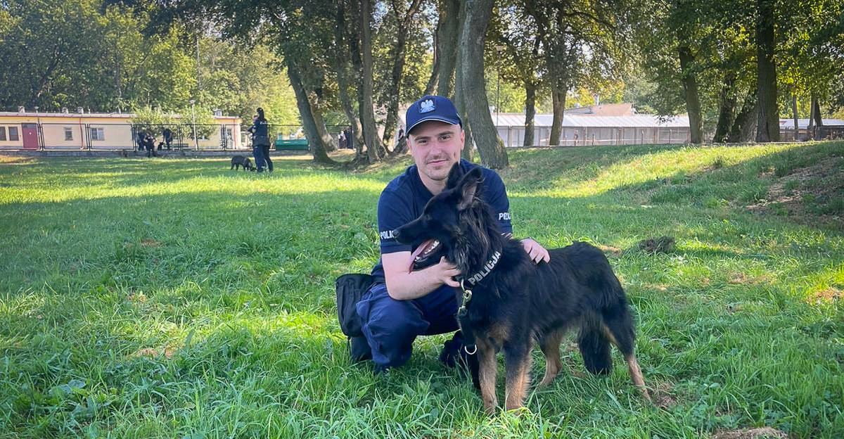 Trzy nowe psy zasiliły szeregi formacji Policji i rozpoczęły szkolenie