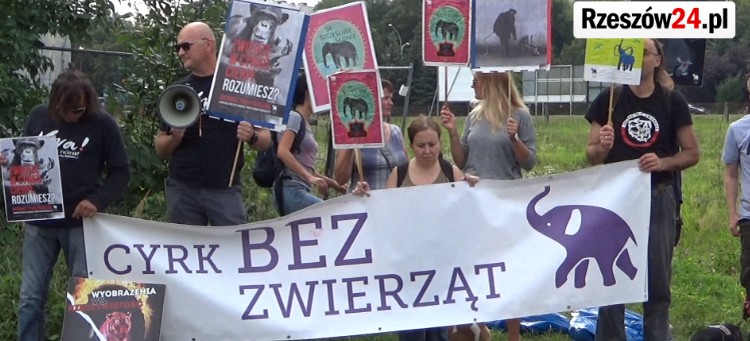NIEDZIELA. Cyrk “Arena” w Rzeszowie. Protest obrońców zwierząt!