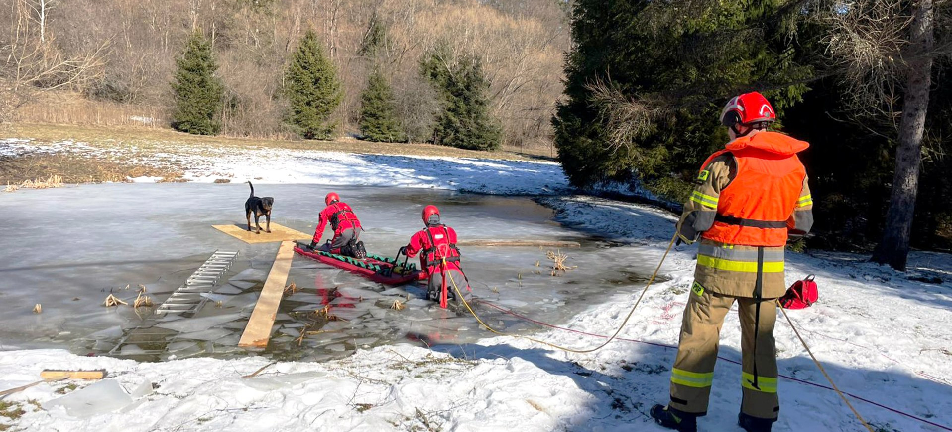 Akcja ratunkowa w Dwerniku. Strażacy ewakuowali psa z zamarzniętego stawu [ZDJĘCIA]