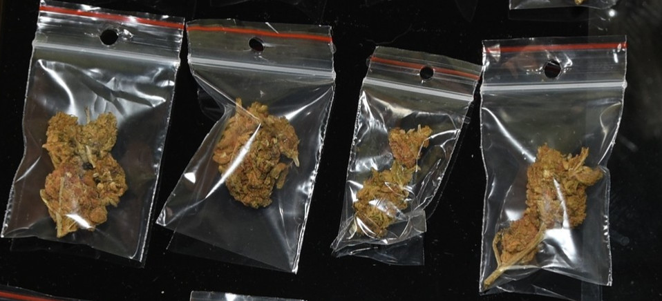 SANOK. Nastolatkowie przyłapani na Dąbrówce! 30 g narkotyków (FOTO)