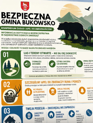 BEZPIECZNA GMINA BUKOWSKO. Kompendium zasad i apel do Mieszkańców