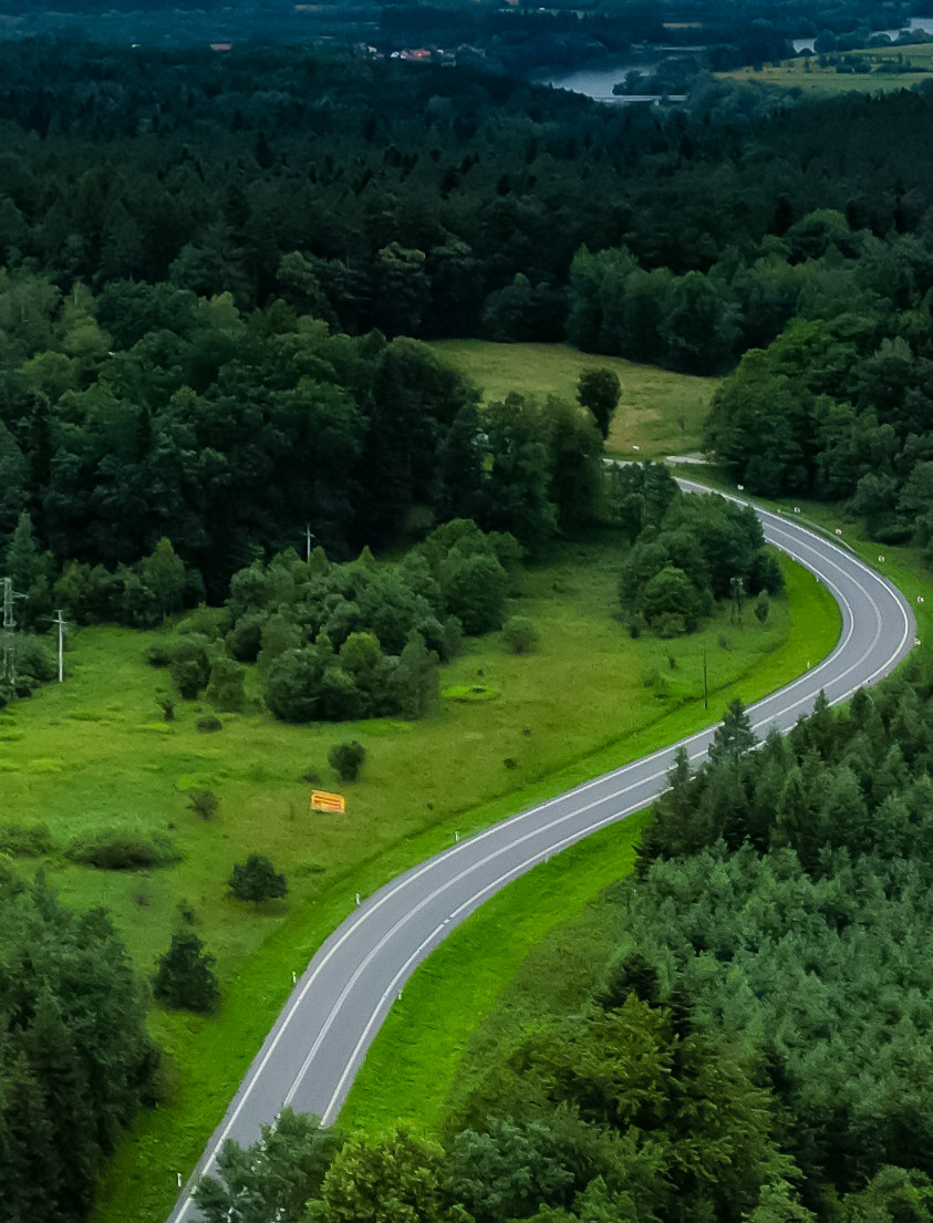 Ważna akcja weterynaryjna na Podkarpaciu. Nie dotykaj tych przynęt!