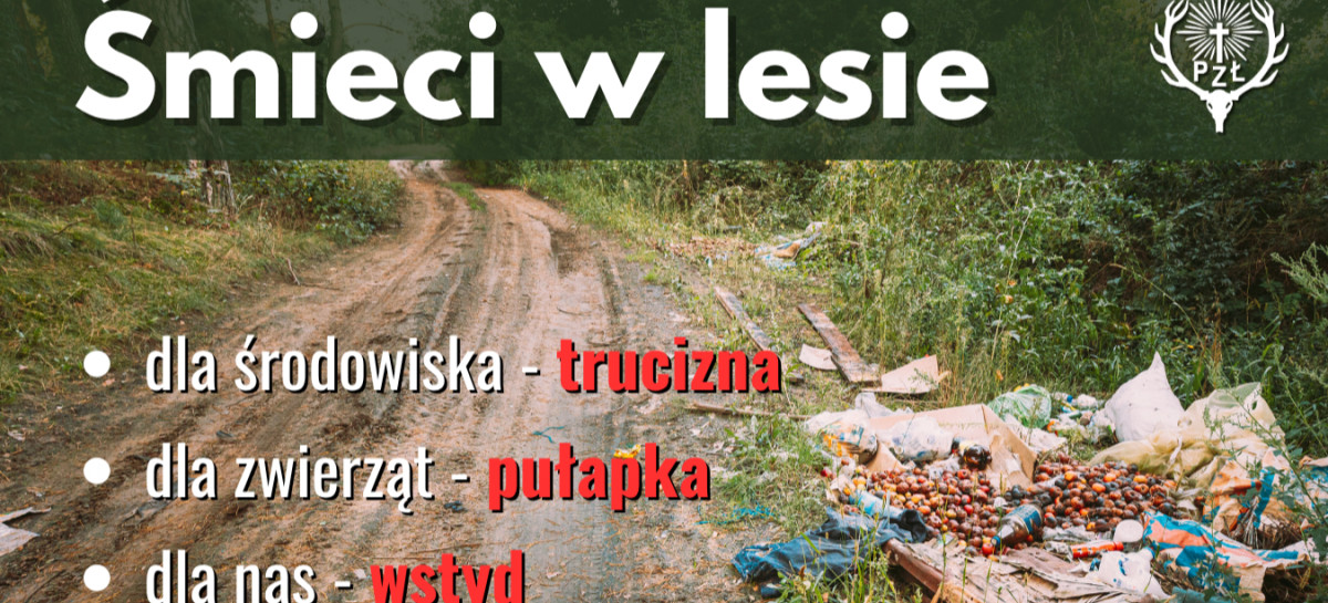 Zwierzęta nie śmiecą. Ludzie – tak. Dlaczego odpady w lesie to śmiertelne zagrożenie?