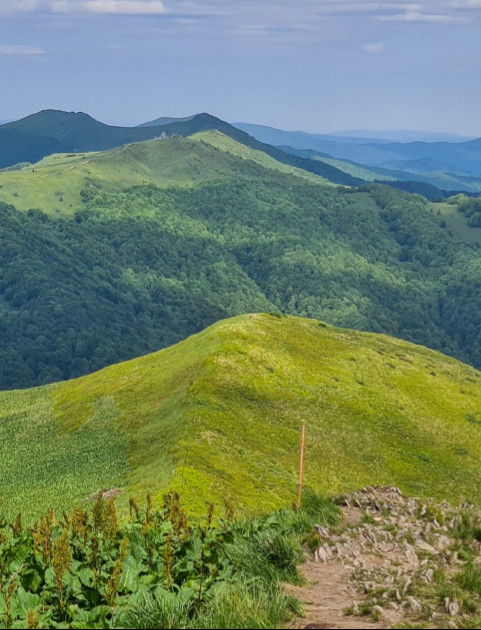 BIESZCZADY: 9-latek zgubił się na szlaku, uratowała go reakcja turysty