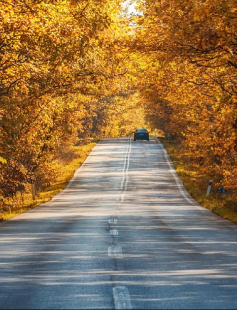 Jesienne warunki na drogach. Policja apeluje o ostrożność