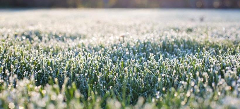RZESZÓW: IMGW ostrzega przed przymrozkami!