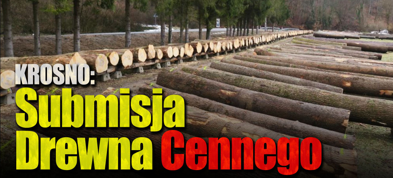 KROSNO. Submisja Drewna Cennego na terenie Regionalnej Dyrekcji Lasów Państwowych