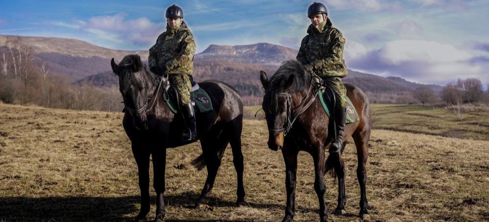 Nowe konie w służbie na granicy w Bieszczadach (VIDEO, ZDJĘCIA)