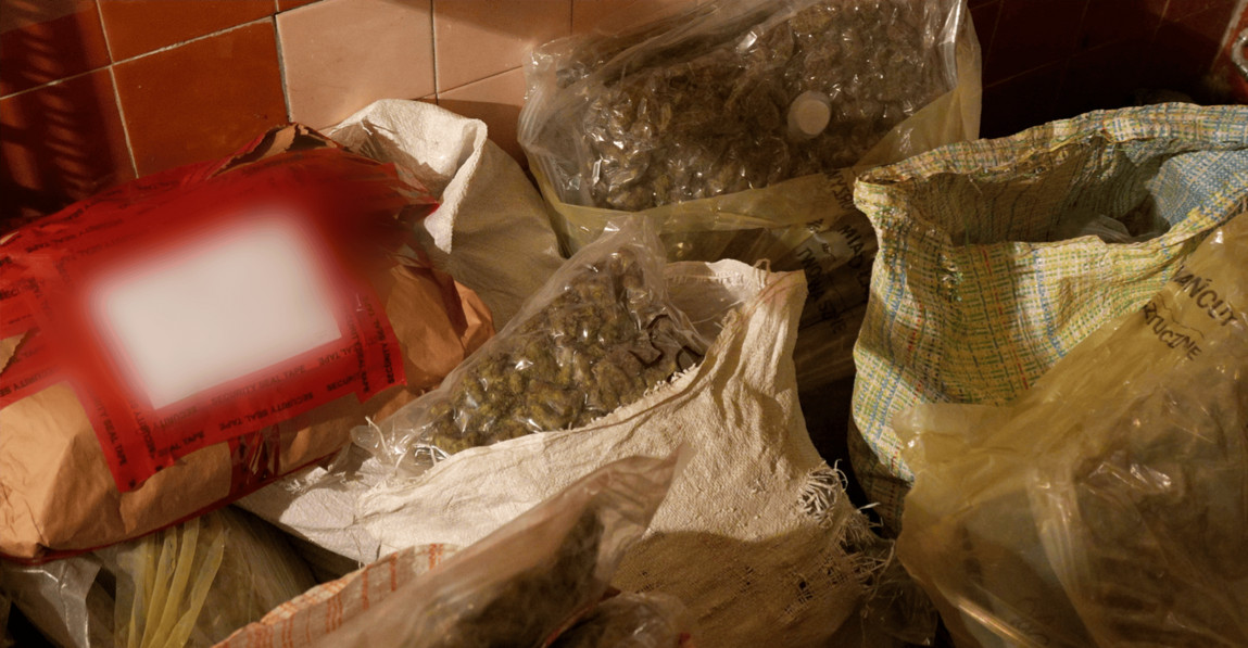 PODKARPACIE: Ponad 60 kg narkotyków przejętych przez policję. Dziewięć osób zatrzymanych [ZDJĘCIA]