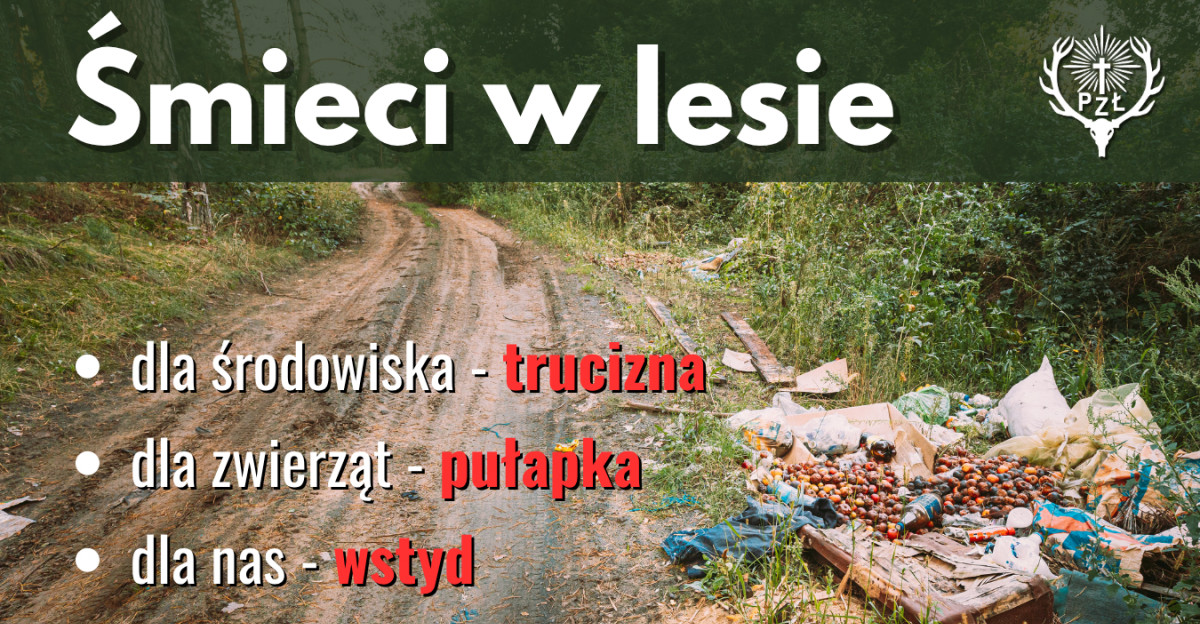 Zwierzęta nie śmiecą. Ludzie – tak. Dlaczego odpady w lesie to śmiertelne zagrożenie?
