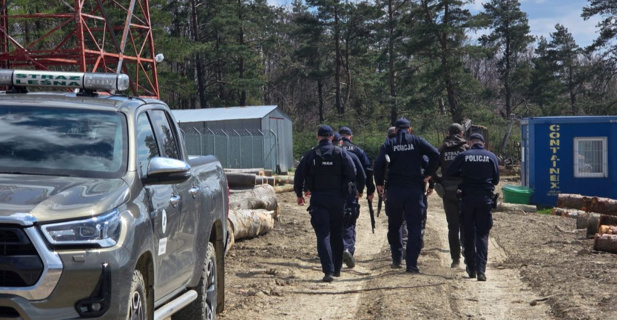 PILNE: Tragedia w Płonnej. Śmiertelny atak niedźwiedzia. Nie żyje mieszkanka powiatu sanockiego