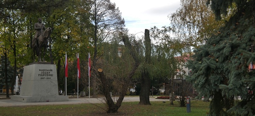 Przycięto drzewa pod pomnikiem Piłsudskiego. Część mieszkańców będzie protestować! (FOTO)