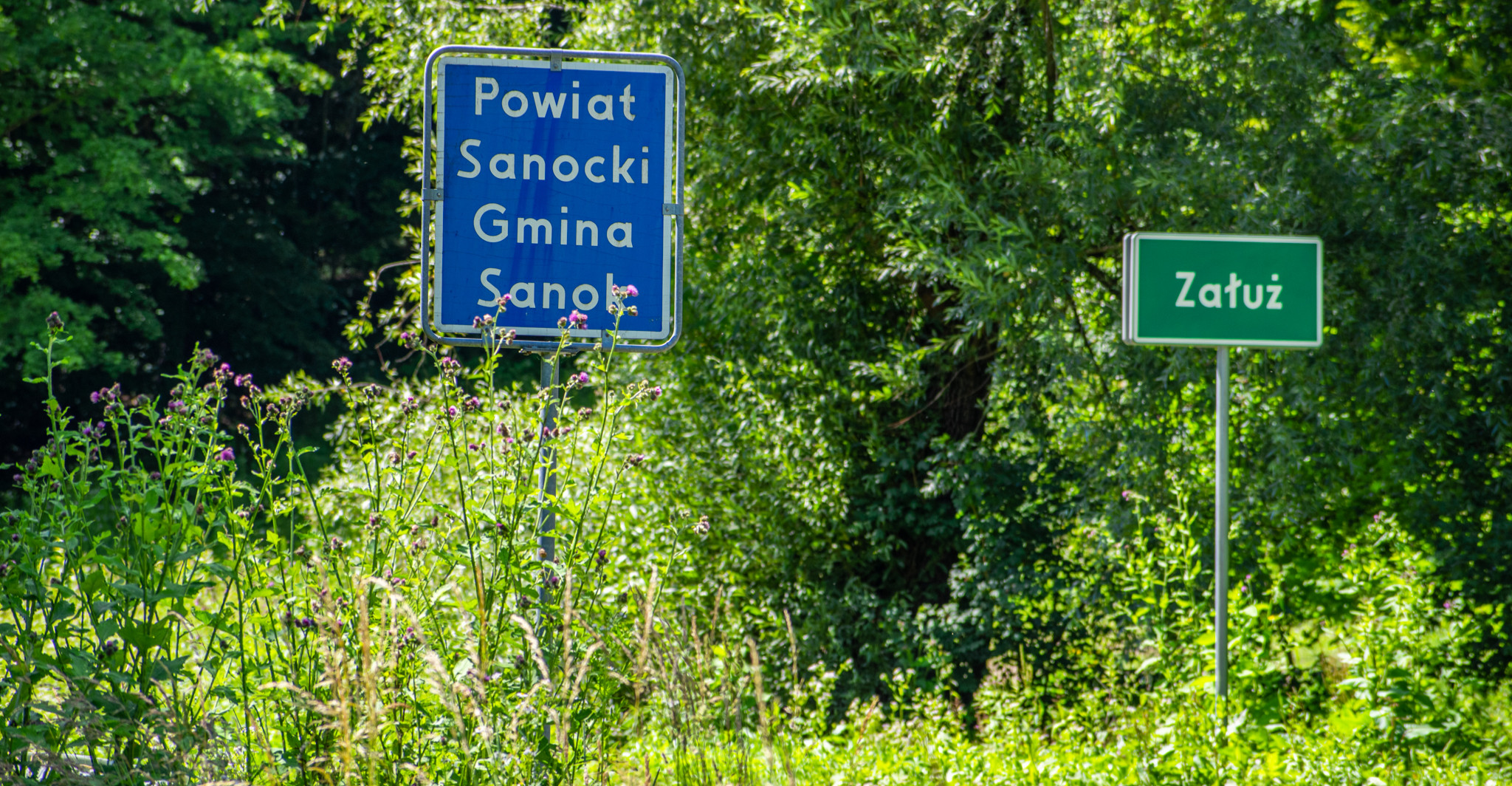 Wypadek w Załużu. Zderzenie dwóch pojazdów