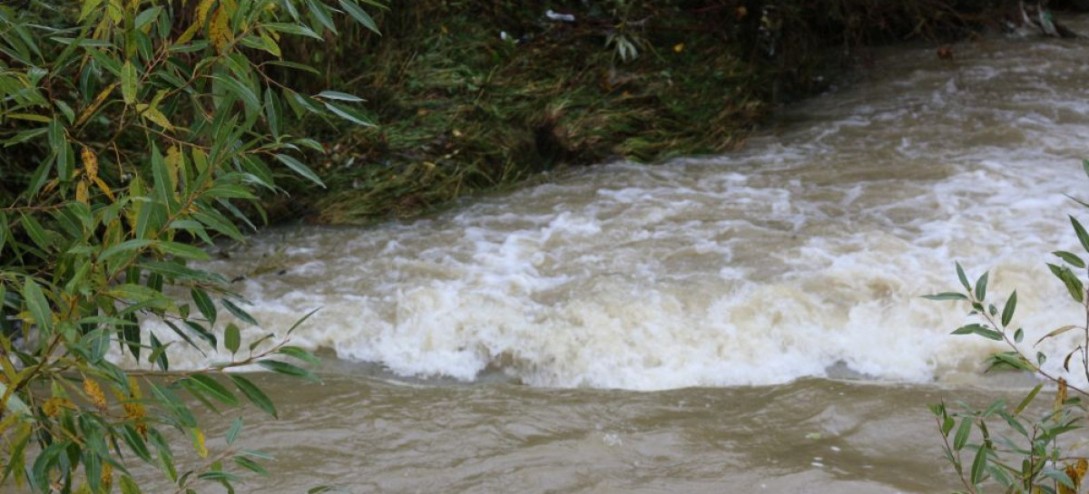 Ostrzeżenie hydrologiczne dla Podkarpacia. Na Osławie poziom wody może zbliżyć się do stanu alarmowego