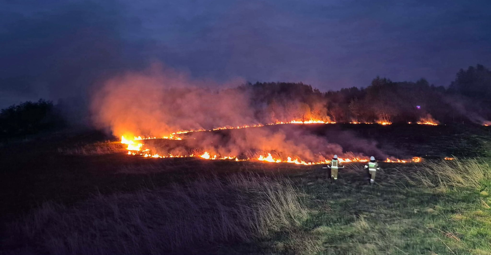 Nocna akcja strażaków w Krzemiennej. Płonęły nieużytki rolne [ZDJĘCIA]