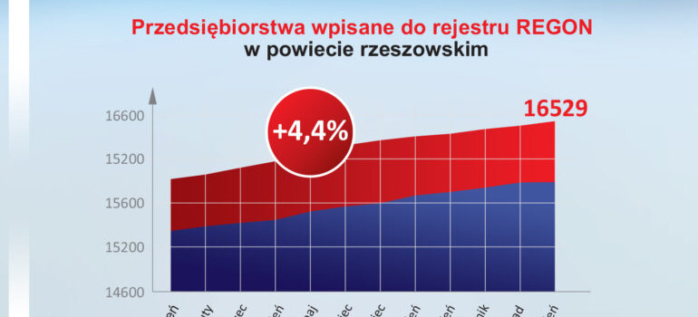 Powiat Rzeszowski gospodarczą lokomotywą regionu. Najwyższy wzrost liczby firm na Podkarpaciu