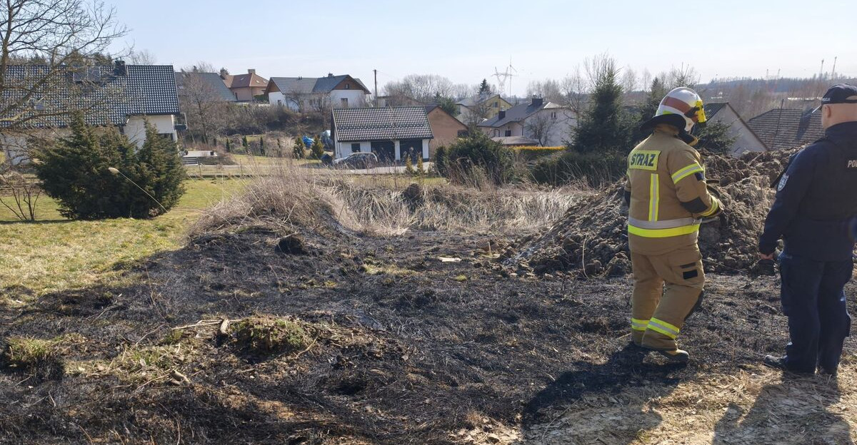 Nawet 30 tysięcy złotych grzywny. Policja i strażacy ostrzegają przed wiosennym wypalaniem traw