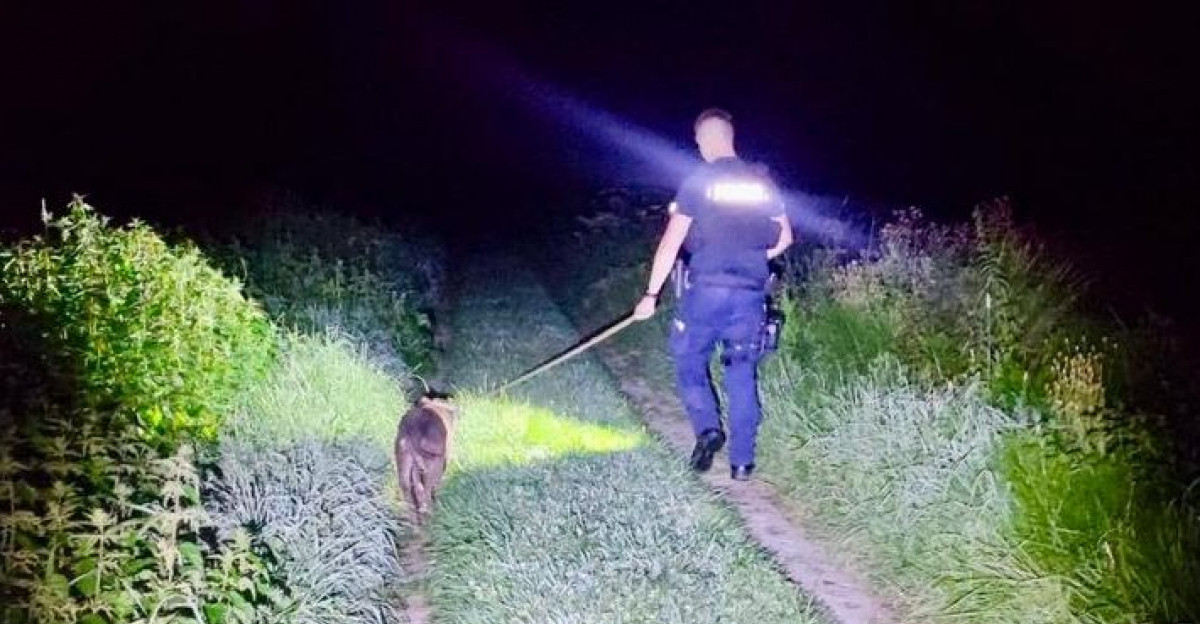 Saba skradziona, odnaleziona i … już bezpieczna w domu. Szybka i skuteczna akcja brzozowskich policjantów