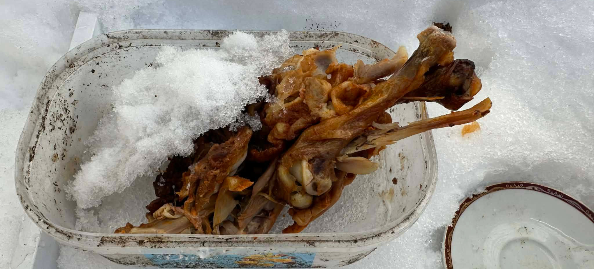 „Kulinarna stołówka” przy ZUS w Brzozowie – DOŚĆ! Stanowczy apel o odpowiedzialność