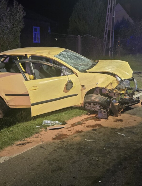 BLIZNE: 17-latek bez prawa jazdy dachował seatem. Trzy osoby trafiły do szpitala [ZDJĘCIA]