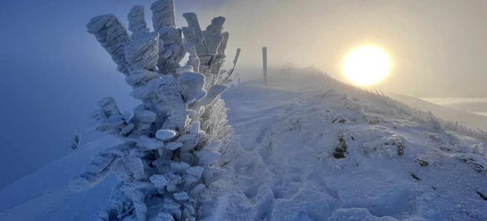 Zimowa aura w Bieszczadach. Przepiękne widoki zapierają dech w piersiach (ZDJĘCIA)
