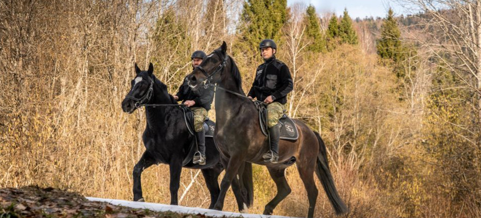 Nowe konie w służbie Bieszczadzkiego Oddziału Straży Granicznej. Cel Pal i R-Emil już patrolują granicę [VIDEO, ZDJĘCIA]