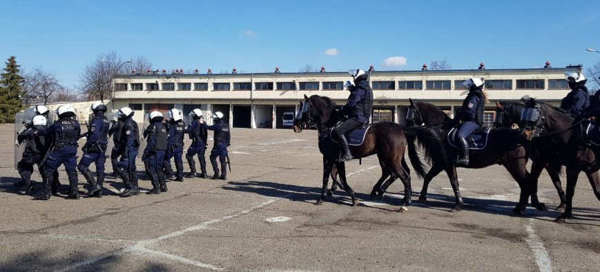 Policyjne wierzchowce zdały egzamin (FOTO)