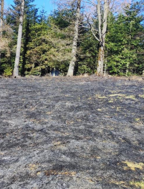 BIESZCZADY: Było niebezpiecznie! Pożar zatrzymany na granicy lasu! (FOTO)