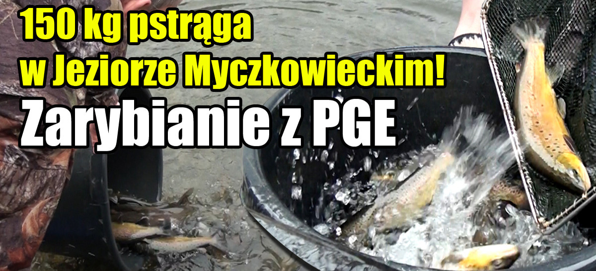 150 kg pstrąga w Jeziorze Myczkowieckim! Zarybianie z PGE (VIDEO, ZDJĘCIA)