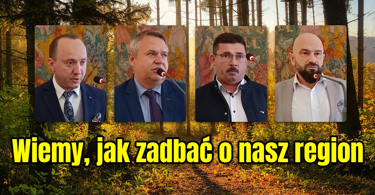 Wiemy, jak zadbać o nasz region!  Komisja sejmowa (VIDEO)