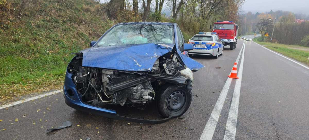 Kolizja w Domaradzu. Kobieta straciła panowanie nad pojazdem (ZDJĘCIA)