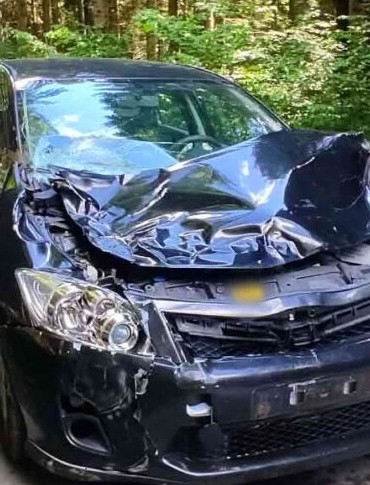 MRZYGŁÓD. Toyota zderzyła się z jeleniem. Uważajmy na dzikie zwierzęta na drodze!
