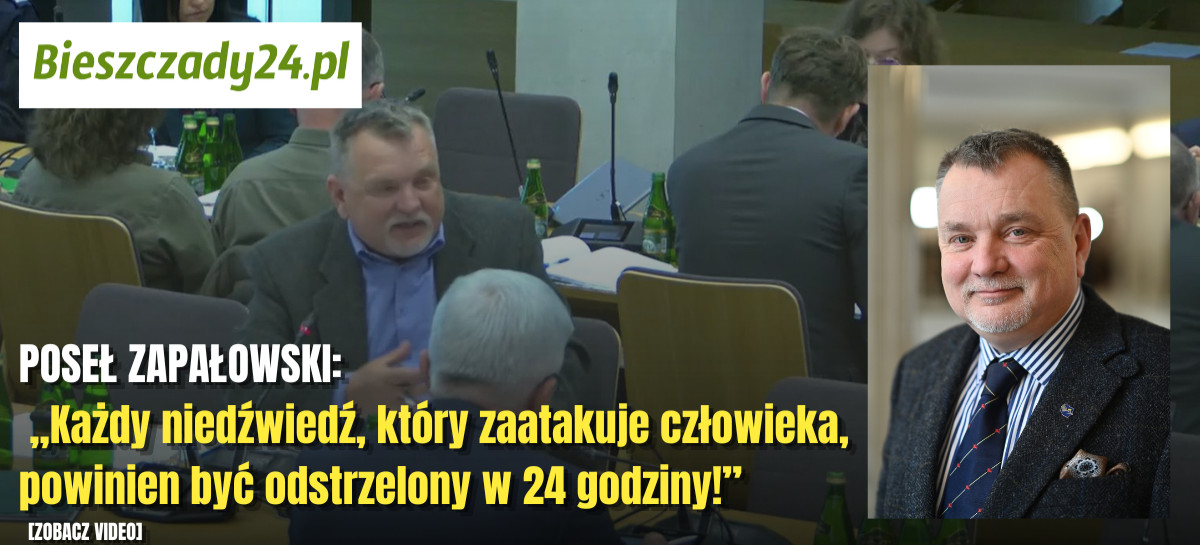 POSEŁ ZAPAŁOWSKI: „Każdy niedźwiedź, który zaatakuje człowieka, powinien być odstrzelony w 24 godziny!”