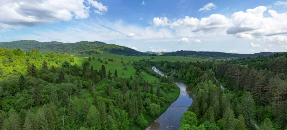 „Rola martwego drewna w przyrodzie”. Cykl sierpniowych prelekcji w Ustrzykach Dolnych
