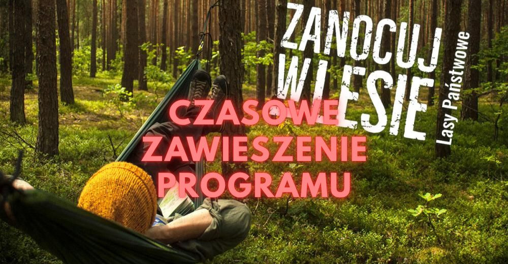 Nadleśnictwa Brzozów i Bircza zawiesiły program „Zanocuj w lesie”. Winne są niedźwiedzie