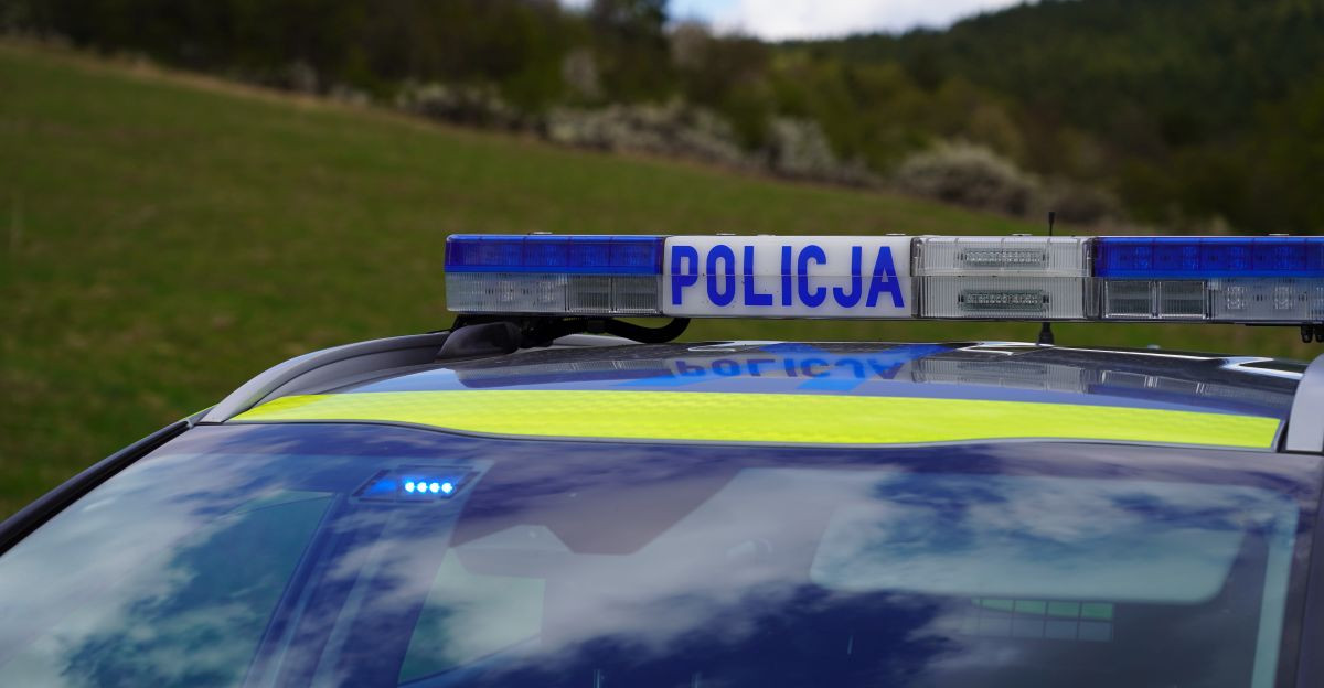 Nowe ustalenia RDOŚ w sprawie wczorajszego ataku niedźwiedzia