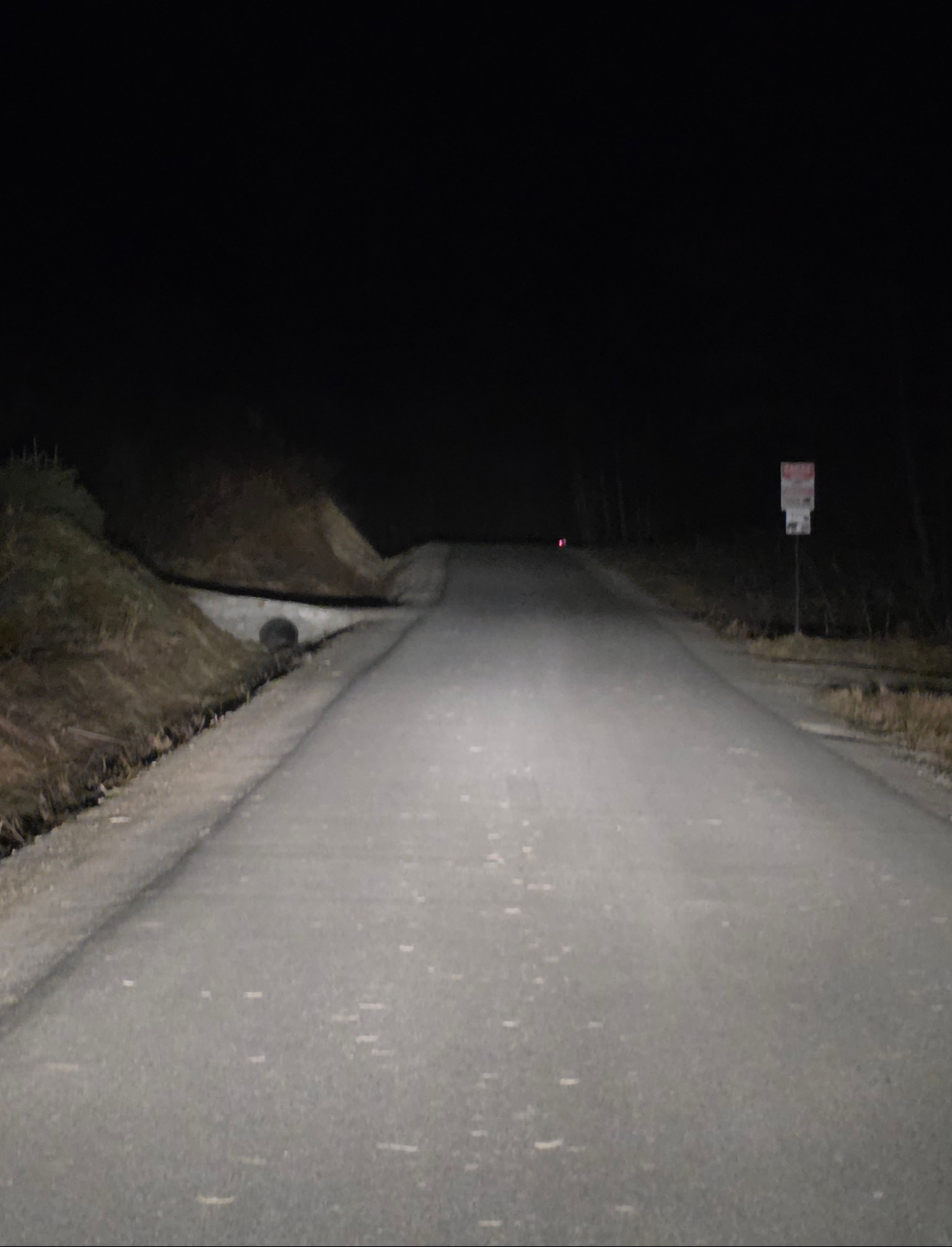 PILNE: Niedźwiedzie przy domku myśliwskim w Prusieku. Apel o zachowanie ostrożności!