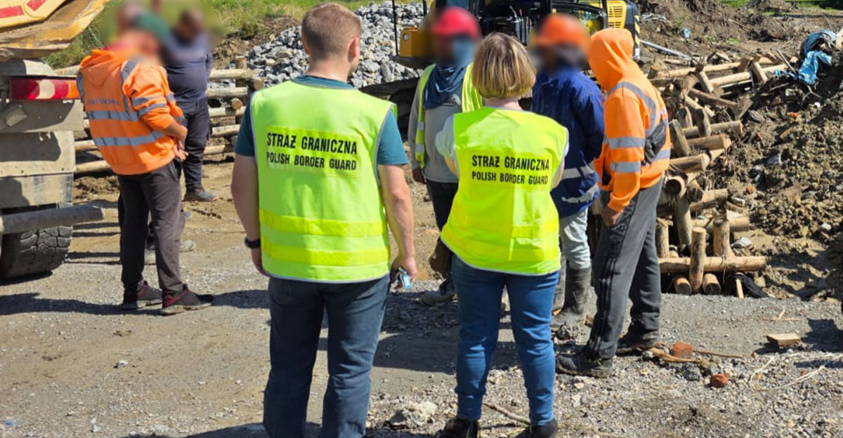 BiOSG: Prezes, kucharz i budowlaniec – cudzoziemcy pracowali nielegalnie