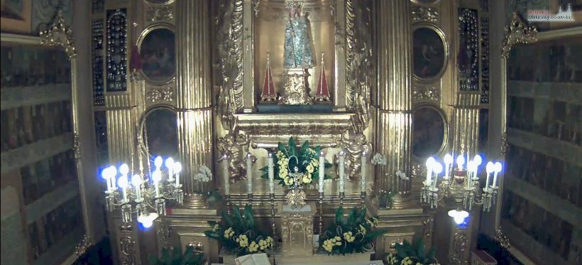 NA ŻYWO: Msze święte z Sanktuarium Matki Bożej Rzeszowskiej! (LIVE)