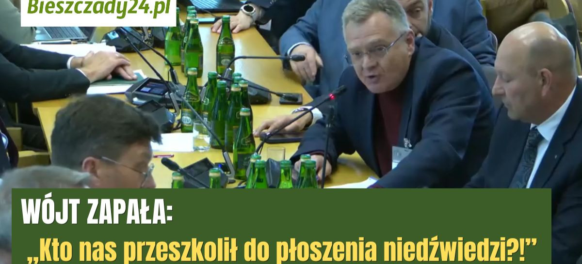 WÓJT ZAPAŁA: „Ratownicy musieli uciekać, a niedźwiedź rzucał quadem jak zabawką” [VIDEO]