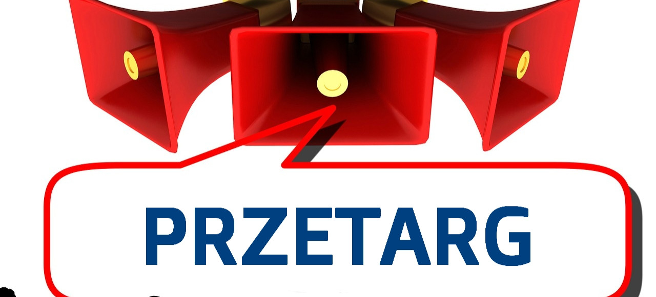 Przetarg. Do kupienia działka w Starej Wsi