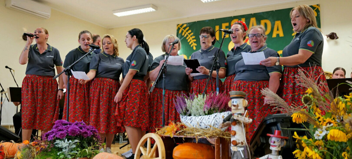 Jubileuszowa X Biesiada Pakoszowska. Święto tradycyjnej muzyki ludowej