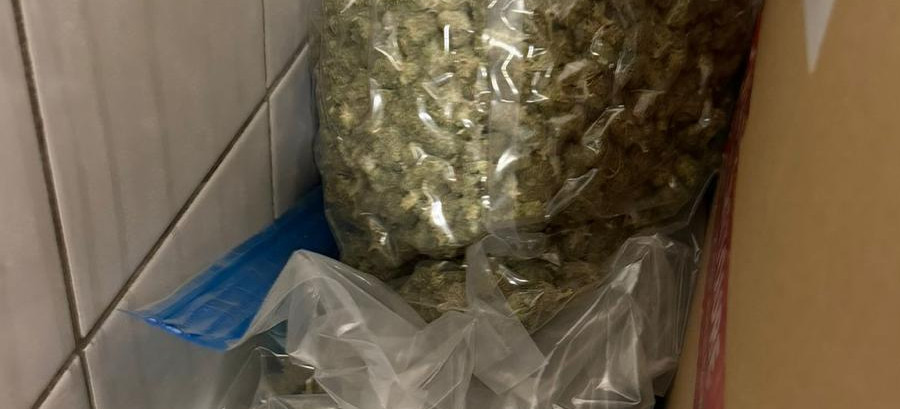 Ponad 20 kg narkotyków nie trafi na ulice. Rzeszowska policja rozbiła polsko-czeski kanał przerzutowy  [ZDJĘCIA]