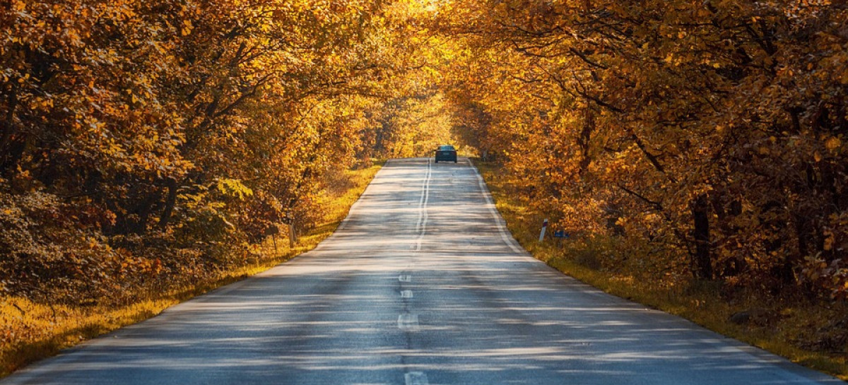 Jesienne warunki na drogach. Policja apeluje o ostrożność