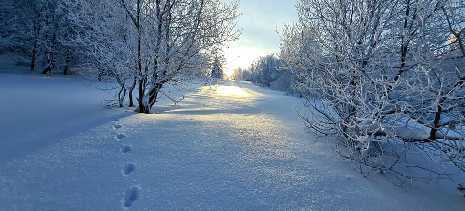 BIESZCZADY: Sytuacja na szlakach! Sprawdź koniecznie przed wyjściem w góry!