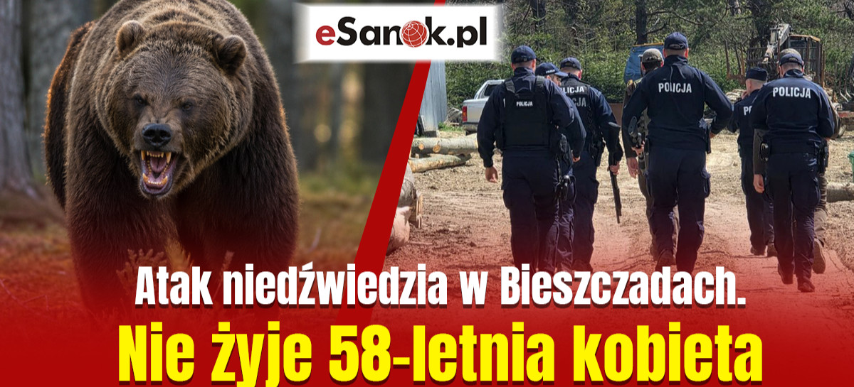 PILNE: Tragedia w Płonnej. Śmiertelny atak niedźwiedzia. Nie żyje mieszkanka powiatu sanockiego