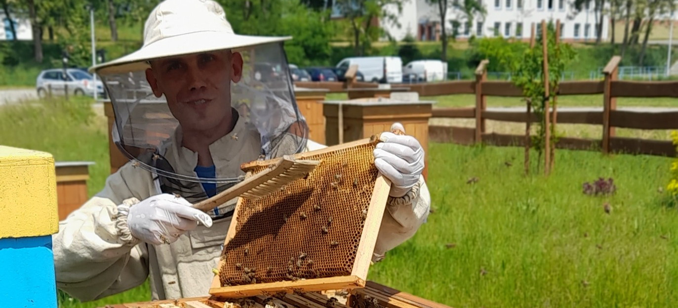 RZESZÓW. Pracowite pszczoły z pasieki MPWiK wyprodukowały 140 kilogramów miodu!