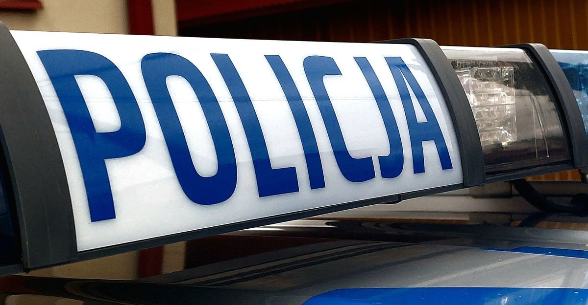 Policjanci zatrzymali sprawcę kradzieży audi